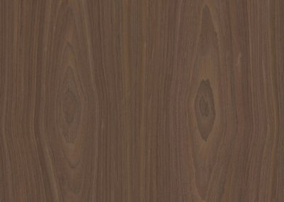 10.13 new main-5b34b81a0383e