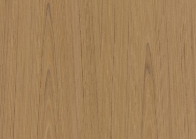 10.73 new main-59512d069a612