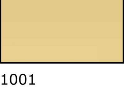 1001