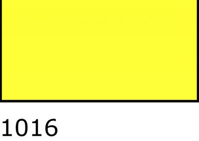 1016