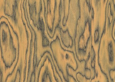 18.70 main-59c5254ec85a8