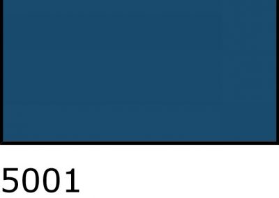5001