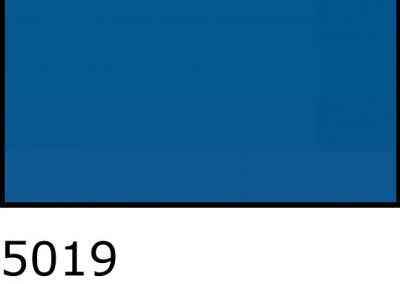 5019