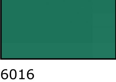 6016