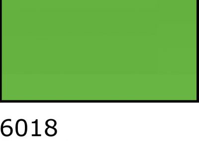 6018