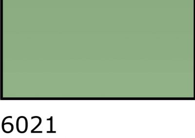 6021