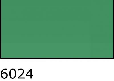 6024