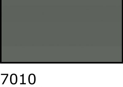 7010