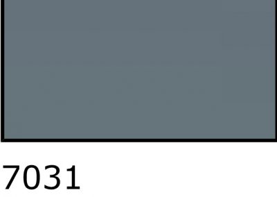 7031