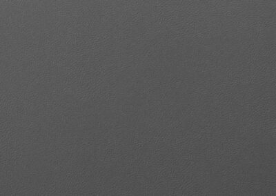 Grigio-Cosmico-Dharma-min-1